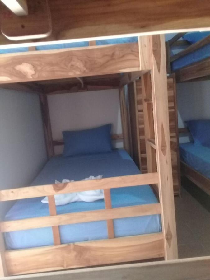 Turtle Island Homestay Sanur Buitenkant foto