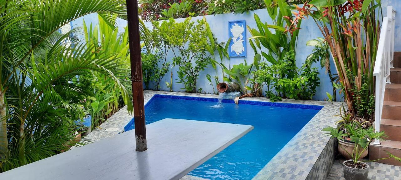 Turtle Island Homestay Sanur Buitenkant foto