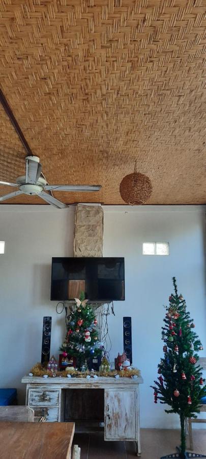 Turtle Island Homestay Sanur Buitenkant foto