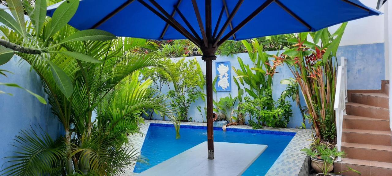 Turtle Island Homestay Sanur Buitenkant foto